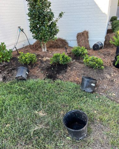 Plants installed in Baton Rouge , Louisiana